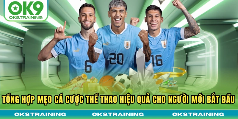 Tổng Hợp Mẹo Cá Cược Thể Thao Hiệu Quả Cho Người Mới Bắt Đầu 16 Tổng Hợp Mẹo Cá Cược Thể Thao Hiệu Quả Cho Người Mới Bắt Đầu